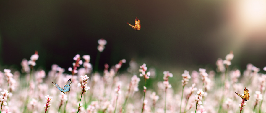 春季結膜炎表現(xiàn)