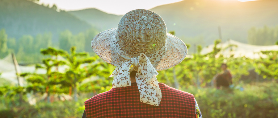 高度近視運(yùn)動